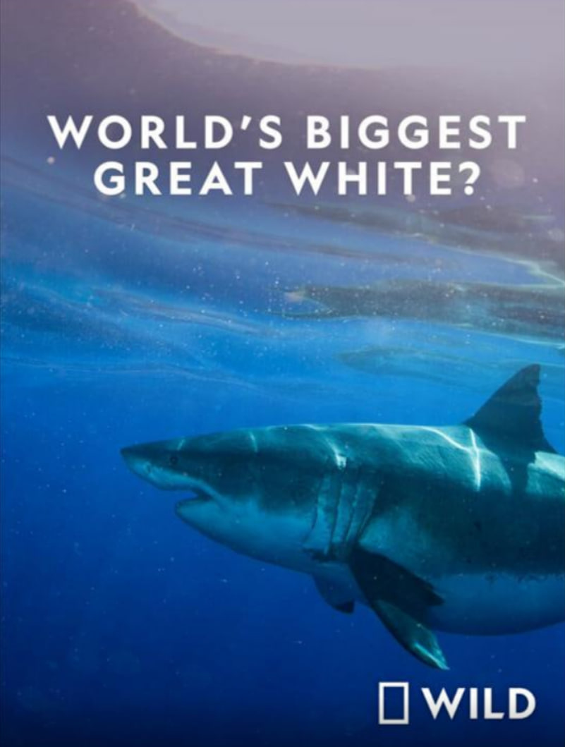 盗墓笔记在线观看